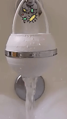 Gr8™ Purifier